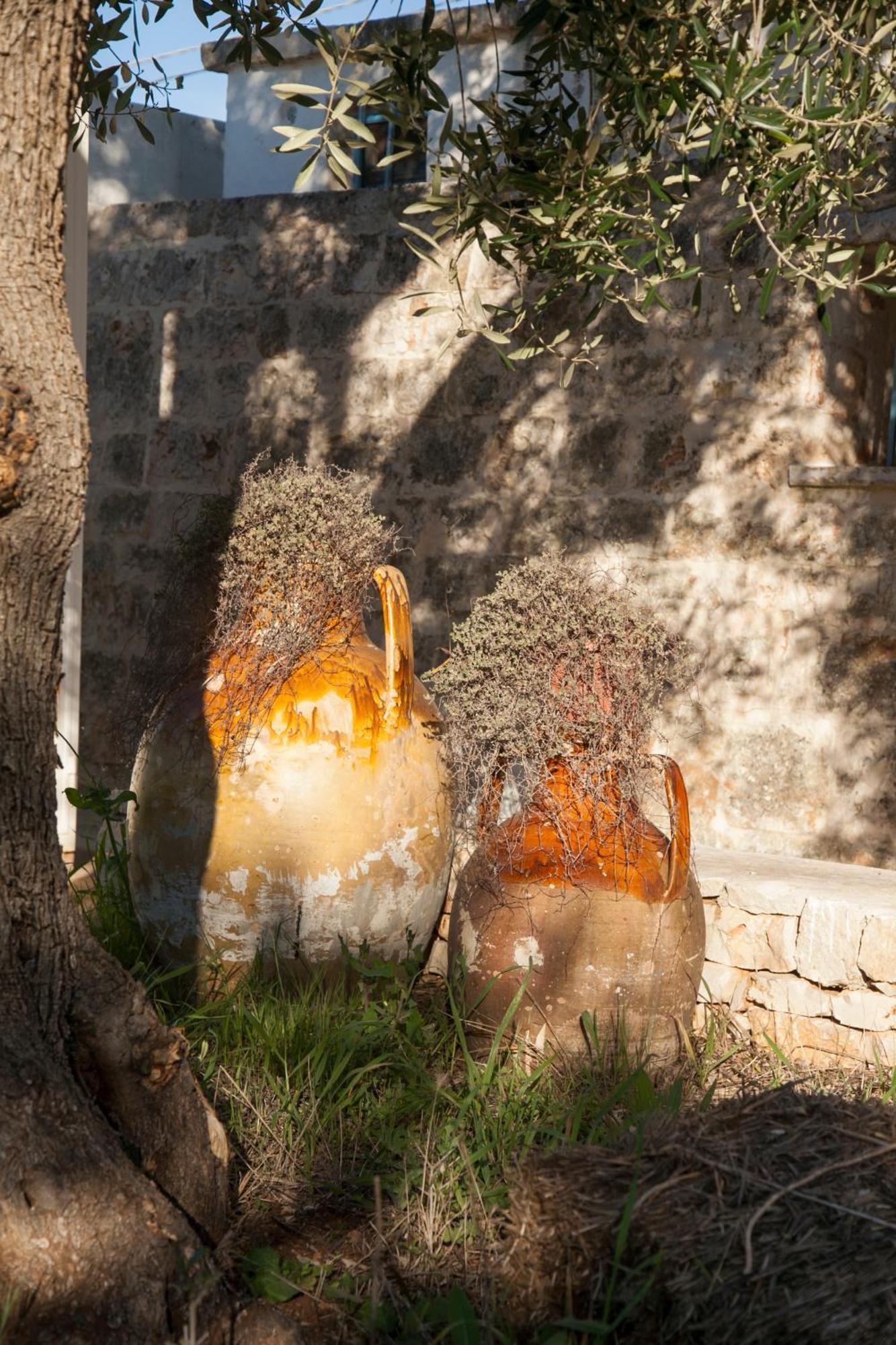 Trulli Alla Controra Κονβερσάνο Εξωτερικό φωτογραφία