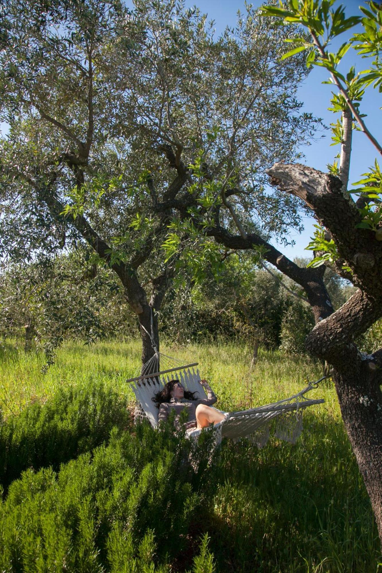 Trulli Alla Controra Κονβερσάνο Εξωτερικό φωτογραφία