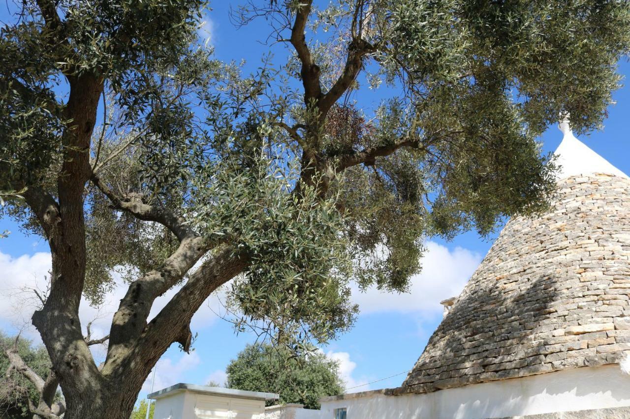 Trulli Alla Controra Κονβερσάνο Εξωτερικό φωτογραφία